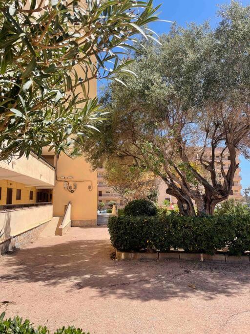 Ferienwohnung Miramar V Torrevieja Eksteriør billede